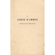 La corne d'ammon (morphologie et embryologie)