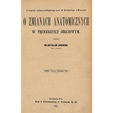 O zmianach anatomicznych w pęcherzyku żółciowym