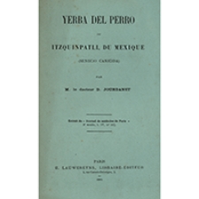 Yerba del perro : ou Itzquinpatli, du Mexique (Senecio canicida)