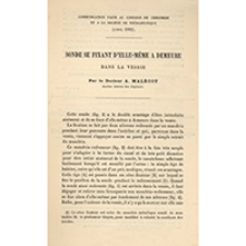 Sonde se fixant d'elle-m&egrave;me a demeure dans la vessie