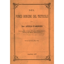 Del fungo benigno del testicolo